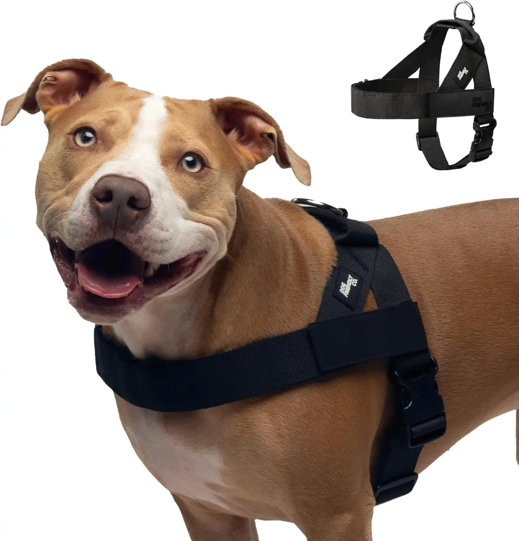 Harness - Easy to fit no-pull design - Safe secure and comfortable - Ideal for dogs of all shapes and sizes Leash