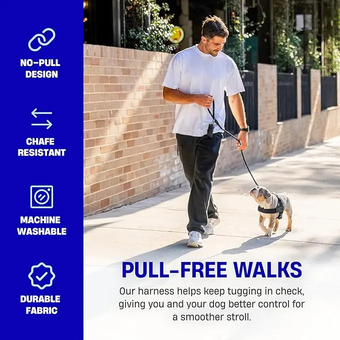 Harness - Easy to fit no-pull design - Safe secure and comfortable - Ideal for dogs of all shapes and sizes Leash