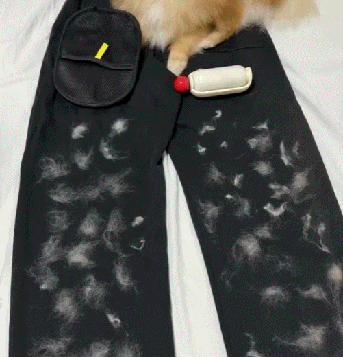 Pickquvo™ Glove — Remove ALL Pet Hair in One Swipe | PekoPets