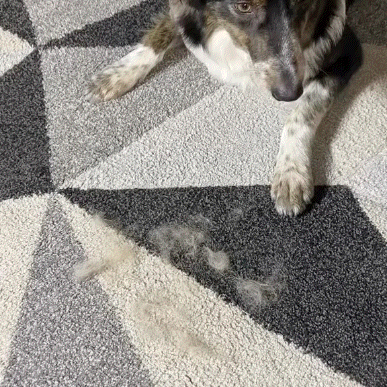 Pickquvo™ Glove — Remove ALL Pet Hair in One Swipe | PekoPets