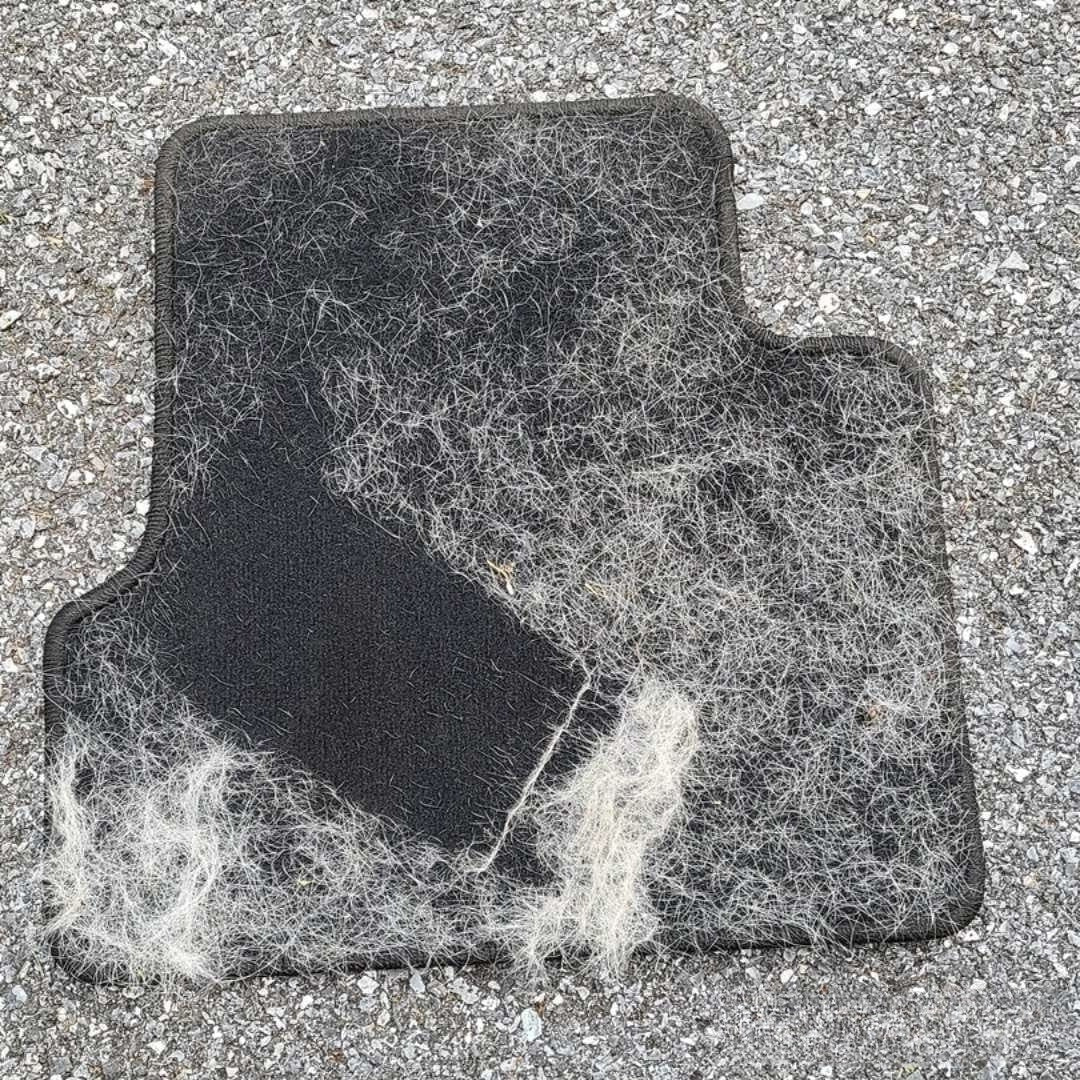 Pickquvo™ Glove — Remove ALL Pet Hair in One Swipe | PekoPets