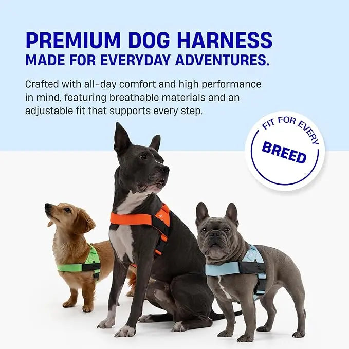 Harness - Easy to fit no-pull design - Safe secure and comfortable - Ideal for dogs of all shapes and sizes Leash